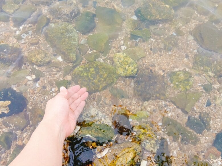 子供を遊ばせる前に、大人が海水温をチェック