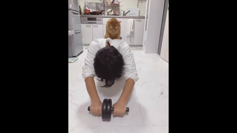 提供：たぬき&とらさん