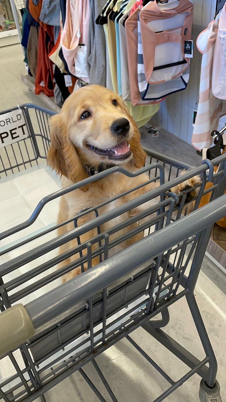 提供：関口和也さん