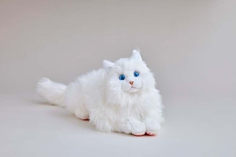 KIMIT ラグドール ホワイト（出典:セガトイズ）