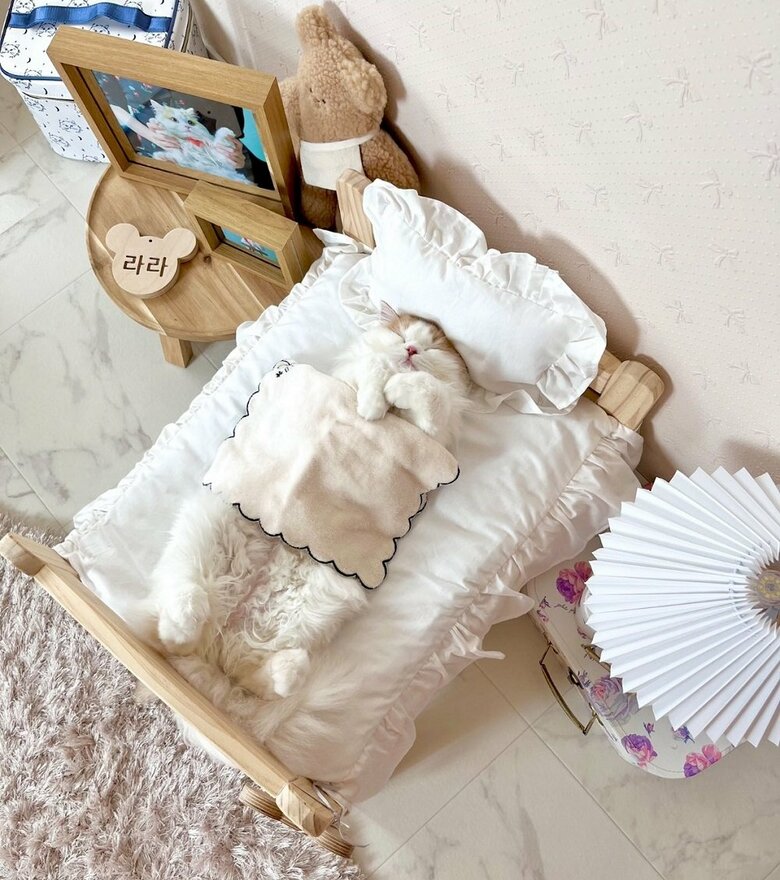 ベッドでぐっすり