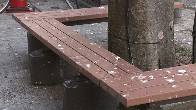 毎日のように清掃してもすぐに”ふん”だらけ