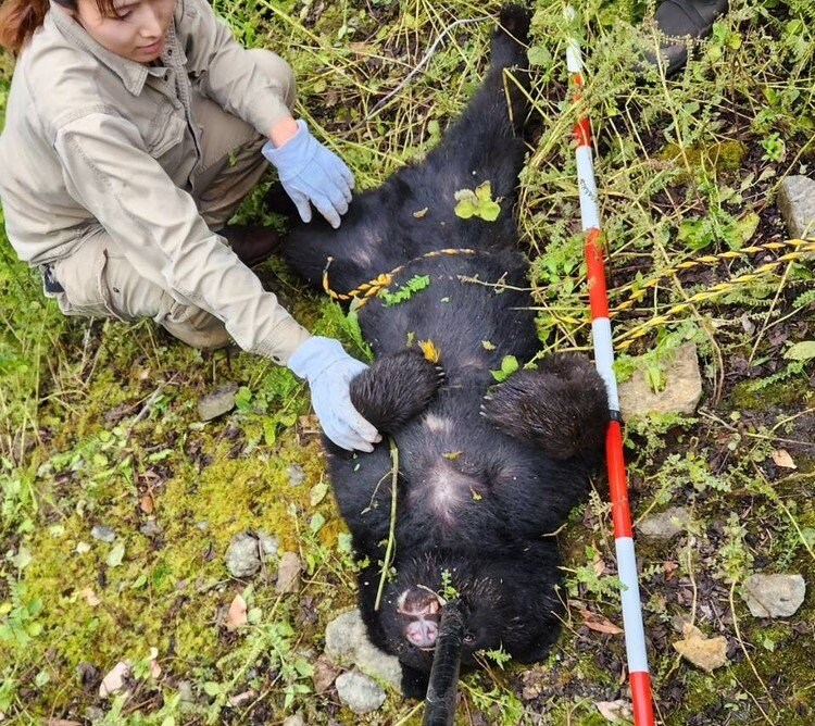 （提供：体感型動物園iZoo）