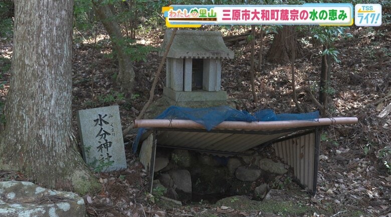 芦田川の源流