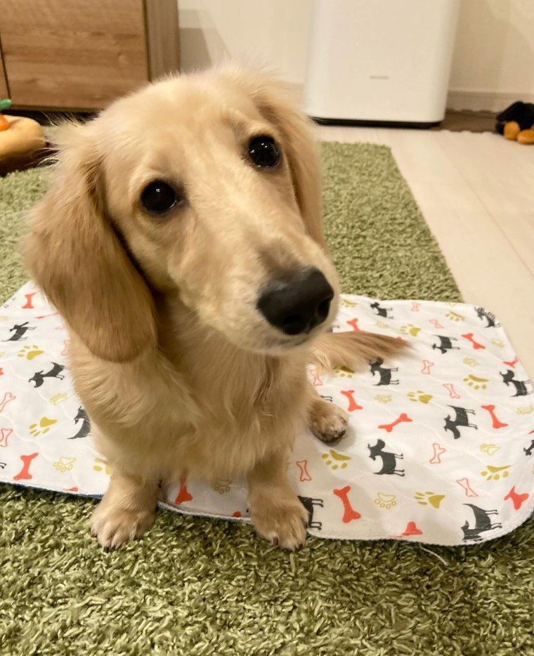 提供：___0516.wanさん