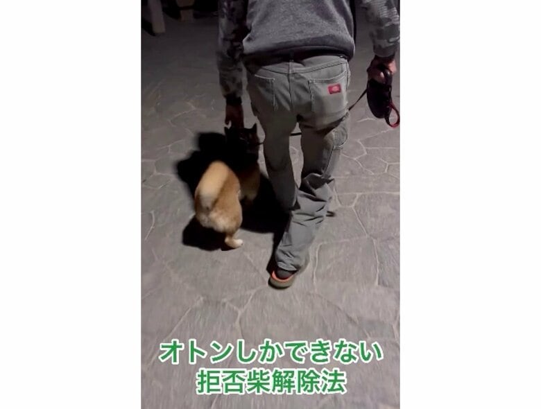 提供：カンさん