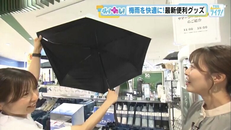 耐風性の傘を紹介するハンズの岡田育子さん（左）