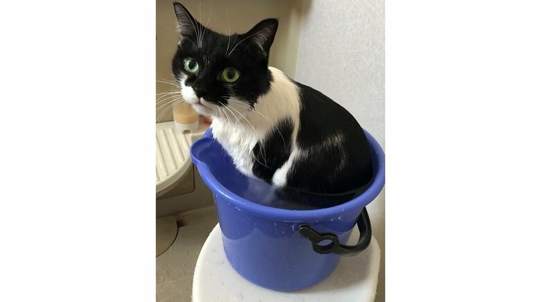 たっぷりのお湯でも暴れずリラックス