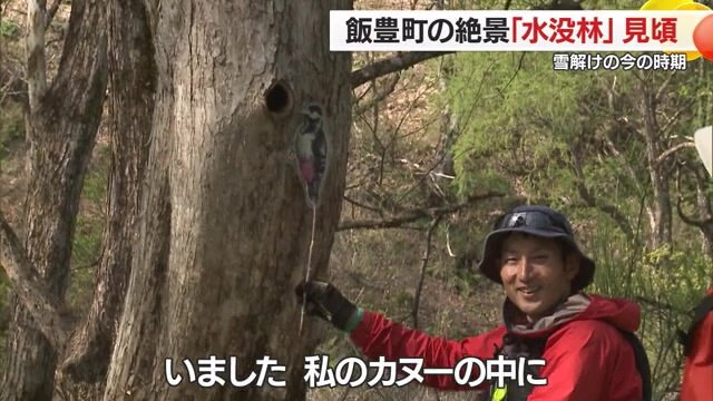 ユーモアを交えながら見どころを案内してくれた堀江さん