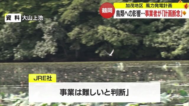 大山上池（資料）