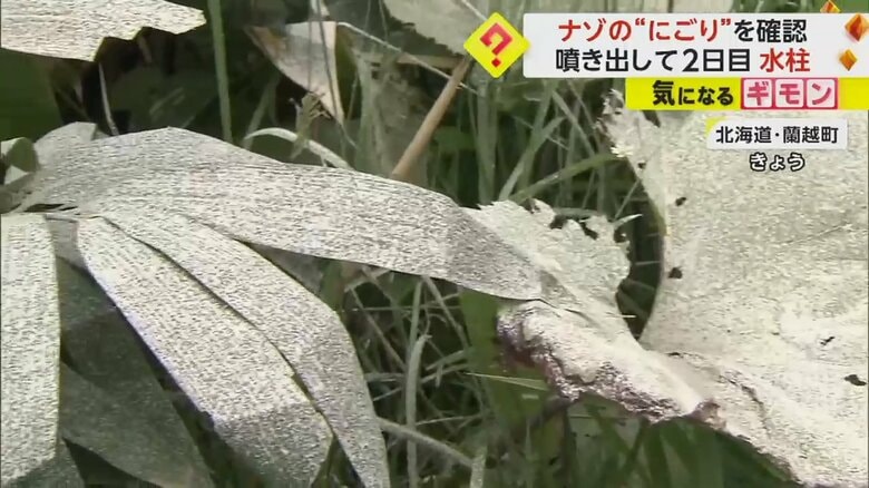 水蒸気によって葉っぱが真っ白になっている