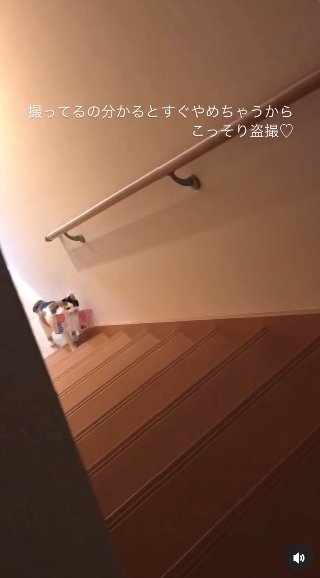 提供：kiyokoさん