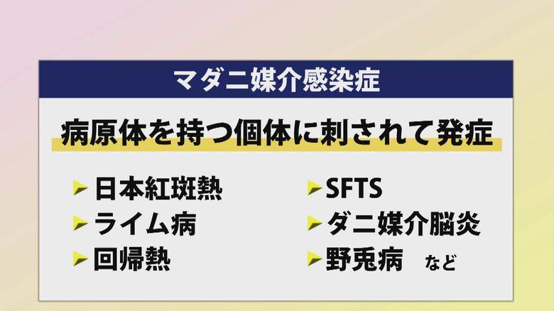 マダニ媒介感染症の一例