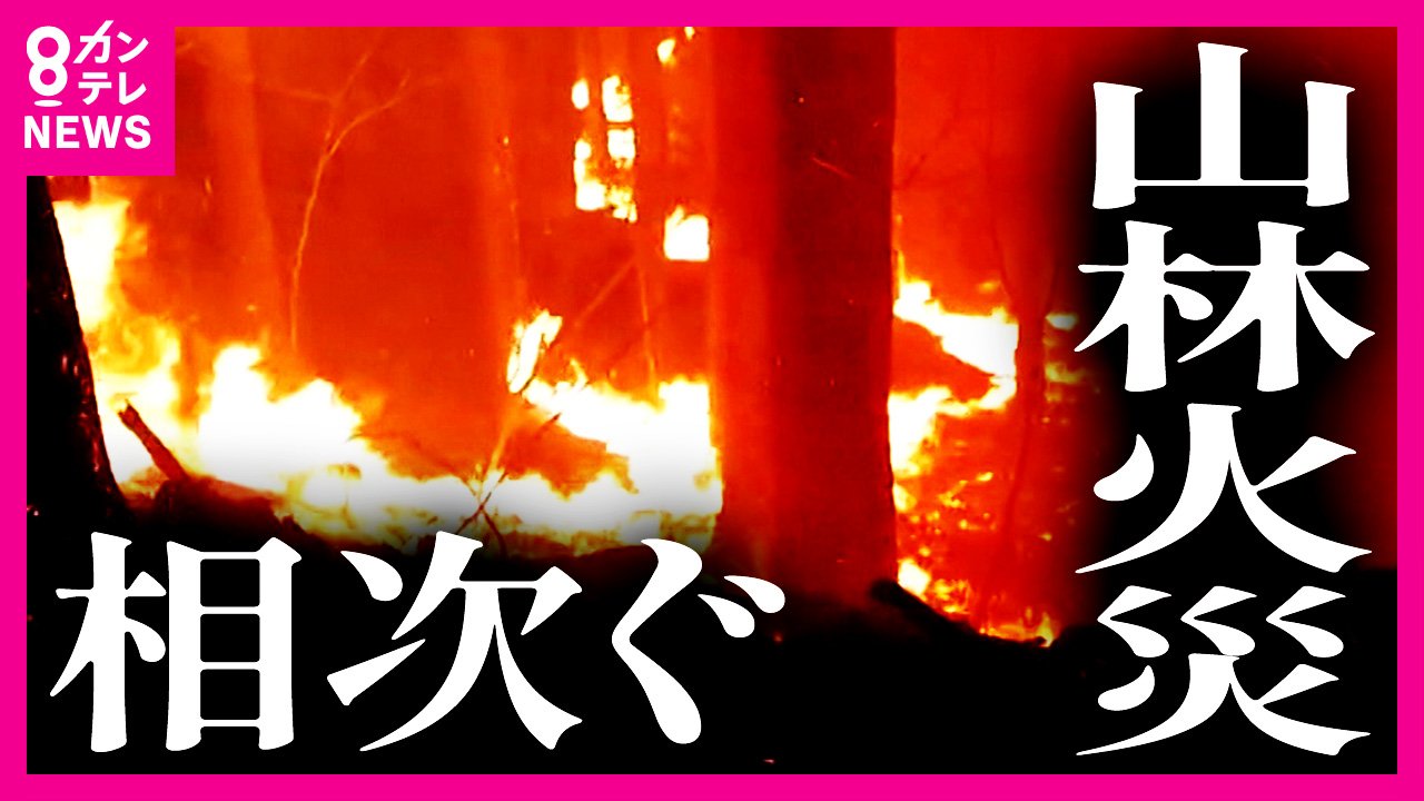 映像で見る燃え広がる『炎』の異様なスピード「火は斜面をかけのぼる  