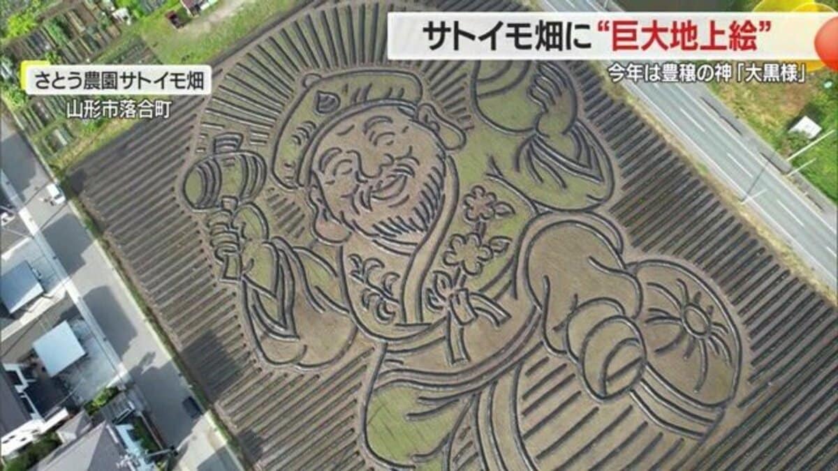 サトイモ畑に現れた大黒様！ 名物の巨大地上絵に「農業が元気になって