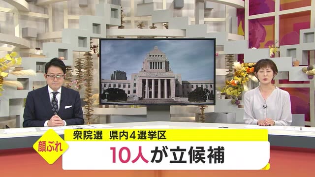 衆院選 31日投開票 九州 沖縄15選挙区近く与野党激戦 西日本新聞me