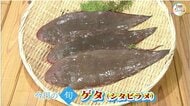 【瀬戸内旬紀行】欧州では海の女王…瀬戸内の味覚「ゲタ（シタビラメ）」煮付けで味わう【岡山・香川】