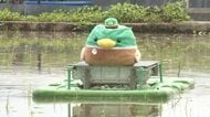 アイガモロボが田んぼを自動巡回　富山の農業高校で雑草防除の実験　今年から自動で田んぼの形状を覚える