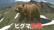 登山道にヒグマがウロウロ→男女4人が下山できなくなる→『クマで立ち往生している』と女性が110番→警察のヘリで全員救助し無事…警察が登山者に注意呼びかけ・救助費用は請求せず＜北海道新得町トムラウシ山＞
