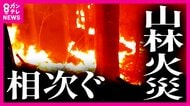 映像で見る燃え広がる『炎』の異様なスピード「火は斜面をかけのぼる」　全国で相次ぐ山火事の背景に「異常な乾燥」　キャンプ客の焼き芋原因であわや山火事の事態も