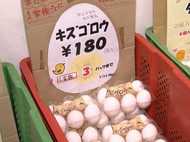 【発見!令和の新名所】“ふわっトロッ”が大人気!こだわり卵のテーマパーク