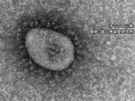 “オミクロン株”愛知で初の確認…尾張地方で同居する親子2人 市中感染か 県内で現在5人が感染の可能性