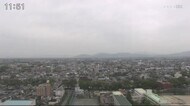 松枯れの原因「松くい虫」被害防止へ 国の特別名勝・虹の松原で上空から薬剤散布【唐津市】