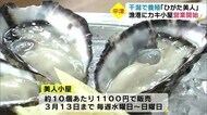 カキ小屋オープン 濃厚な「ひがた美人」を安く 大分・中津市