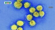 【速報】 新型コロナ 長崎県内で新たに11人の感染確認