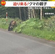 【独自】迫り来るクマの親子チラリと見つつ1mの距離を通過　環境省「むやみに停車せず車から降りない」　北海道