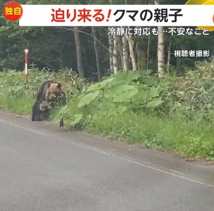 【独自】迫り来るクマの親子チラリと見つつ1mの距離を通過　環境省「むやみに停車せず車から降りない」　北海道