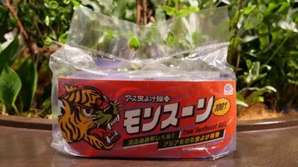 タイで人気の虫よけ線香「モンスーン」が“逆輸入”で日本上陸…特徴を販売元のアース製薬に聞いた