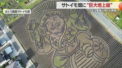 サトイモ畑に現れた大黒様！　名物の巨大地上絵に「農業が元気になってほしい」願い込める・制作期間は半月【山形発】