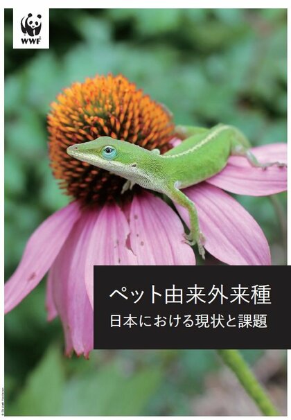 外来生物法施行から20年　ペット由来動物の外来種化に関する報告書を発表　日本における動物の外来種化、主因は「ペット利用」と確認