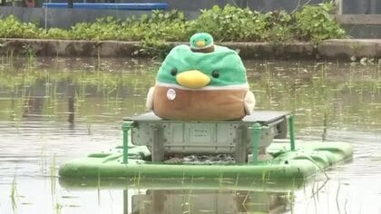 アイガモロボが田んぼを自動巡回　富山の農業高校で雑草防除の実験　今年から自動で田んぼの形状を覚える