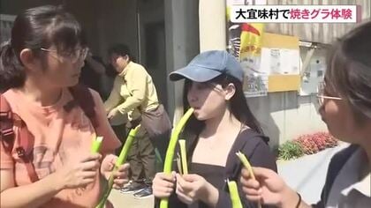 自生タケノコ”チンブクダキ”味わう　大宜味村田嘉里