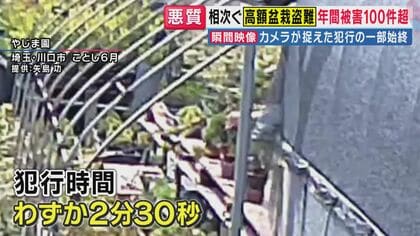 全国で狙われる”高級盆栽”　「すぐ商売（売り物）になるようなものだけを持っていく」　わずか2分30秒の犯行一部始終が防犯カメラに　海外から投稿のSNSに“盗まれた盆栽”が…
