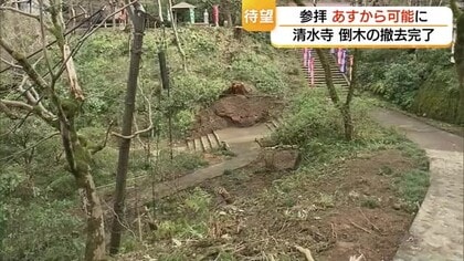 大雪で倒れた大木の撤去完了…清水寺が4月1日から参拝再開へ　旅館も営業再開で賑わいに期待（島根）