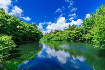 日本の避暑地ランキング! ~2位「富良野」を抑え1位に輝いたのは? 阪急交通社が公開~