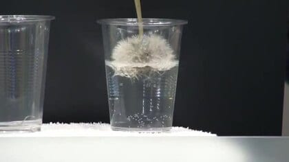 【天気／山形】撥水効果で水はじき濡れない＆28日の詳しい天気　中村友祐気象予報士の天気予報(2)