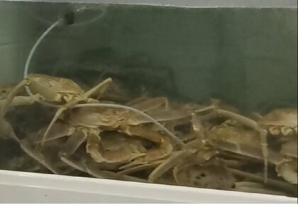 「血の同盟」中国とも人・モノの動きがない北朝鮮…コロナ禍で止まった中朝貿易の実態