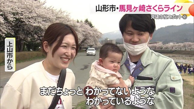 赤ちゃんにもサクラの美しさが伝わったのだろうか