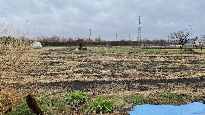 約1.5ヘクタールある小澤さんが耕作する畑