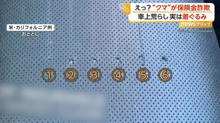 ひっかき傷が6本