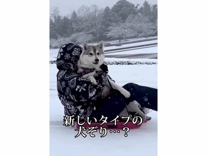 提供:ハスキーいちみちゃんと田舎暮らしさん