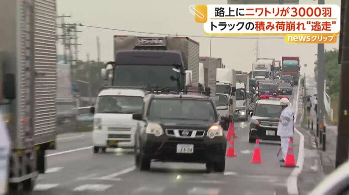 現場は長い渋滞が発生した（宮城・大崎市）
