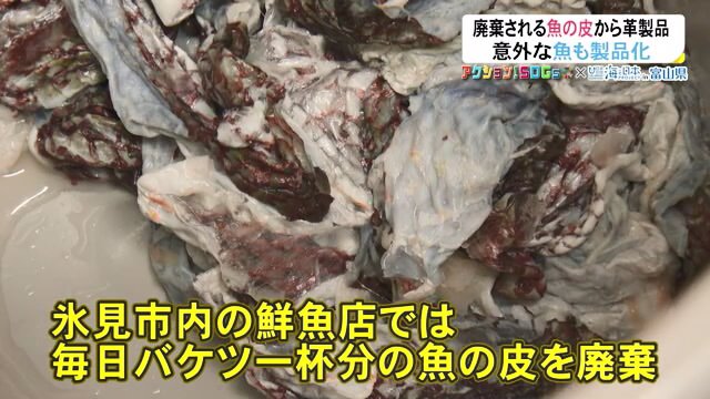 漁業の盛んな氷見市では魚の皮も多く廃棄される