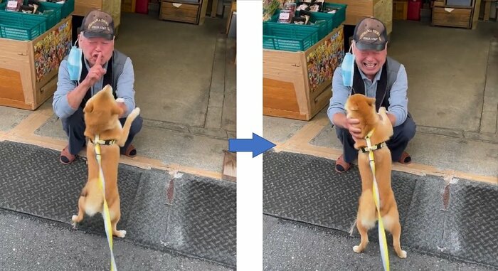 しーっと合図した後に、なでなでを再開