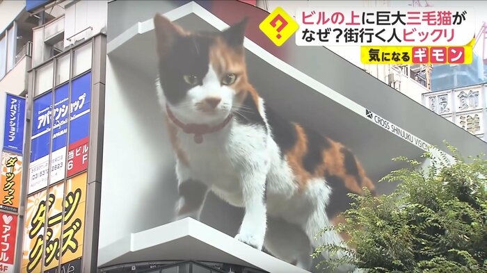 新宿駅東口のビルに登場した“3D巨大猫”