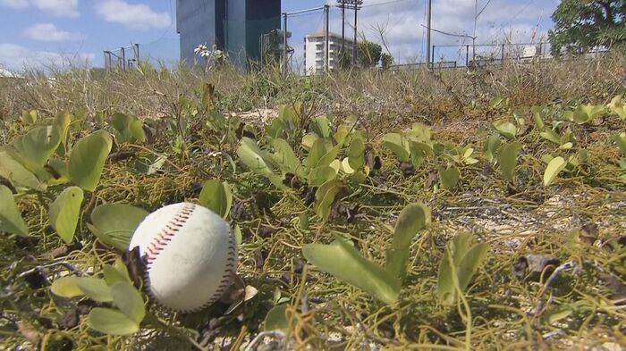 万波選手が放った特大弾は場外海沿いに着弾